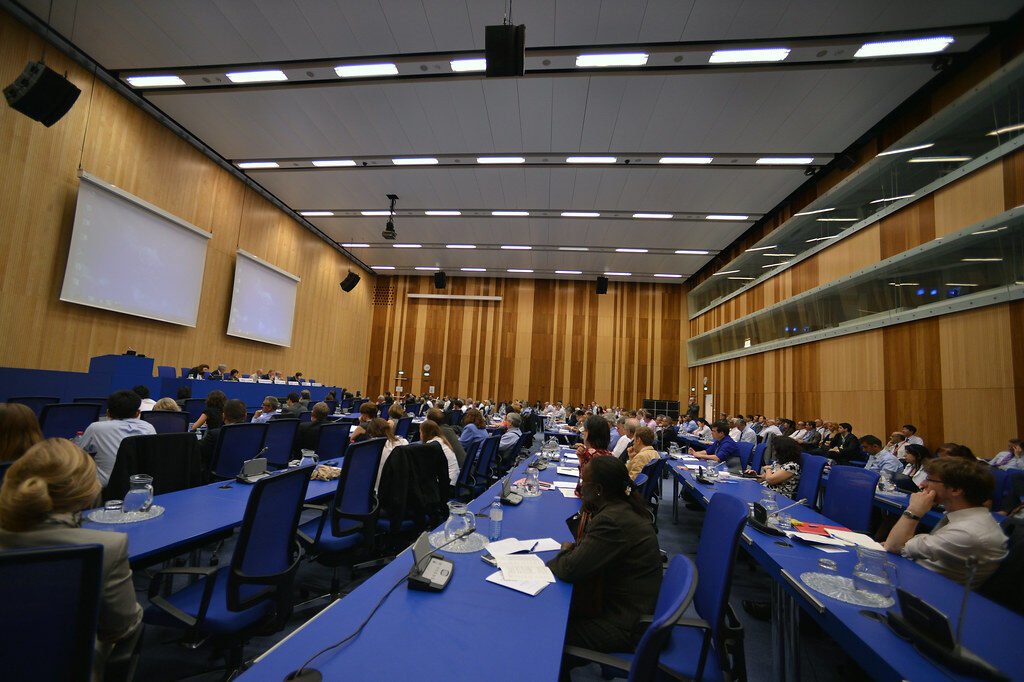 International Expert’s Meeting (02010169)